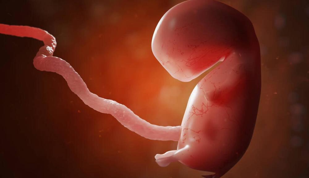 怀孕十二周胎儿性别不同孕妈会有哪些真实反应,看看过来人的说法