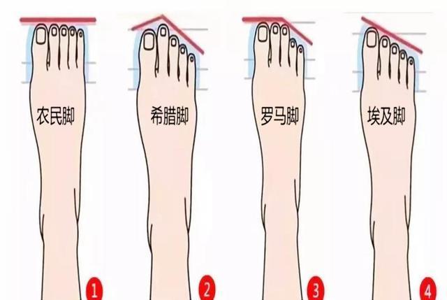 脚型是个未来的预言家看看你家宝宝是富贵命还是农民命