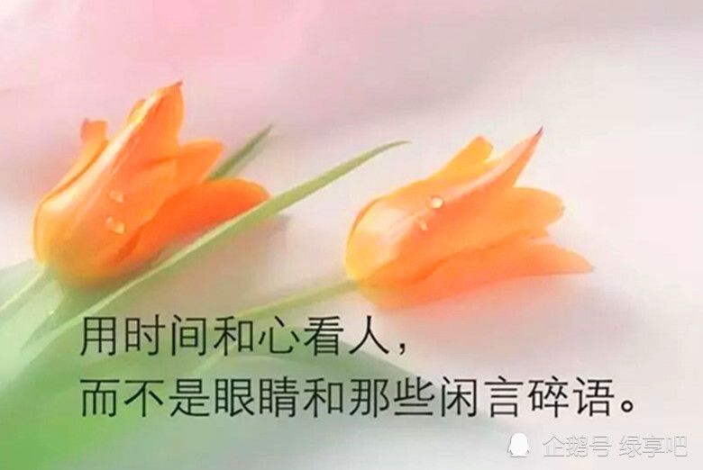 穿透人心的句子,一针见血!