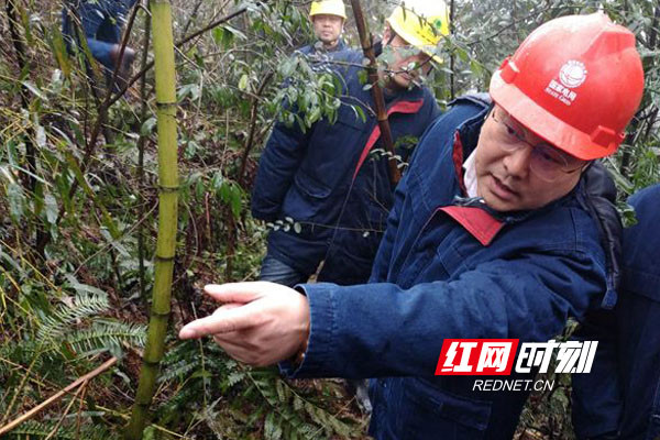 劳模精神耀三湘丨谢学渊:聚焦能源转型升级 贡献更多