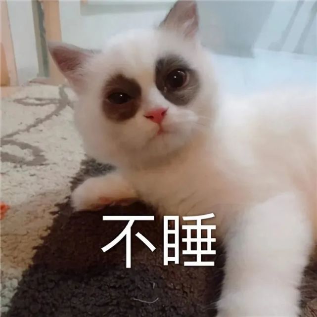 我倒要瞅瞅你是啥慈父.