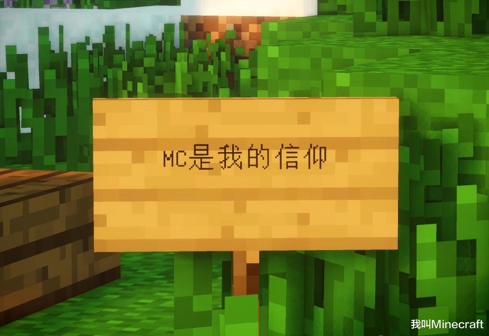 "我真的有点坚持不住了"一段mc服务器的故事,一位服主哀叹