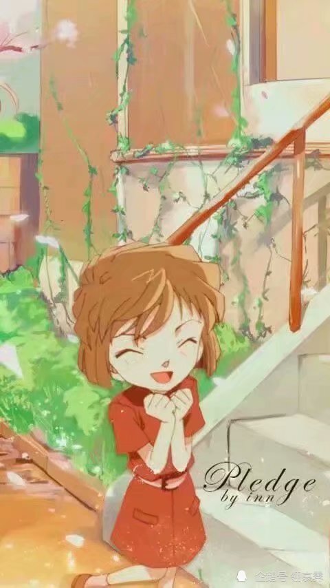 柯南灰原哀情头壁纸合集
