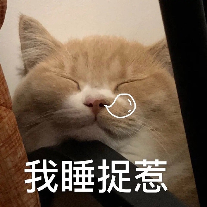 一组可爱猫猫表情包我睡捉惹