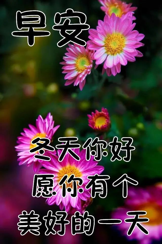 11月6日清晨群发早上好问候动态图片,暖心的早上好祝福语短信