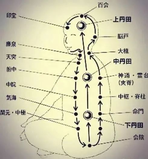 练太极不可忽视的一个细节——丹田内转