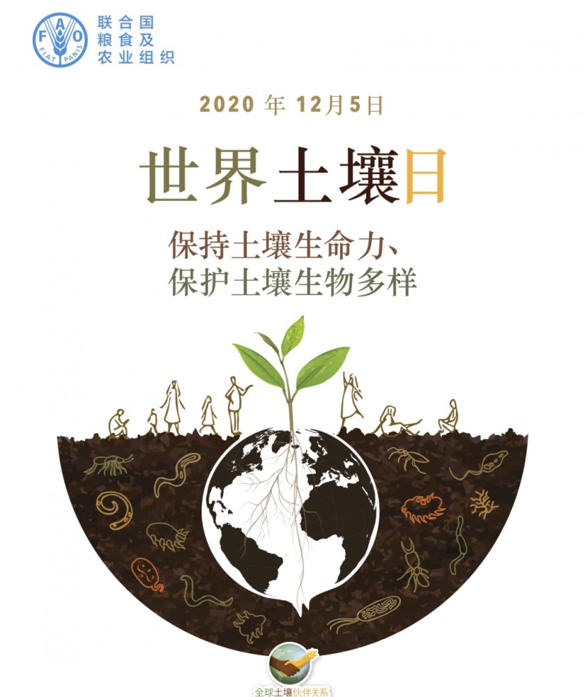 2020年第7个世界土壤日主题是"保持土壤生命力,保护土壤多样性.