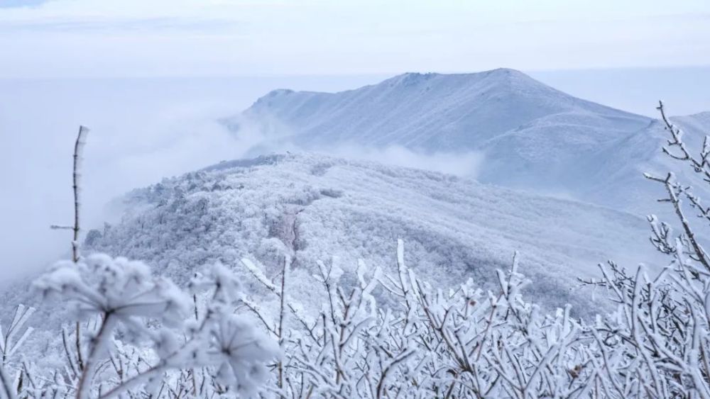 临安雪景盖世无双,看醉了