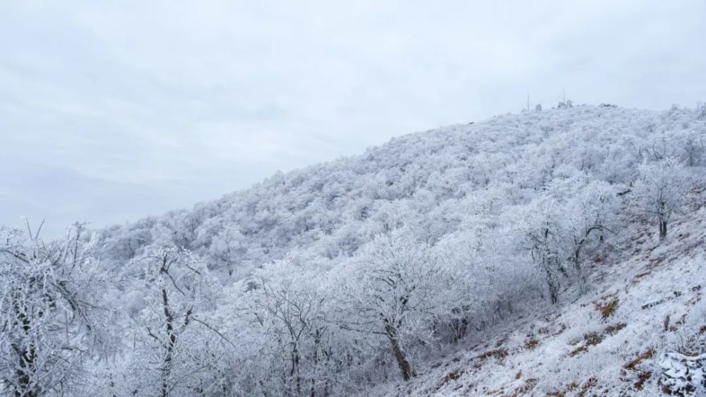 临安雪景盖世无双,看醉了