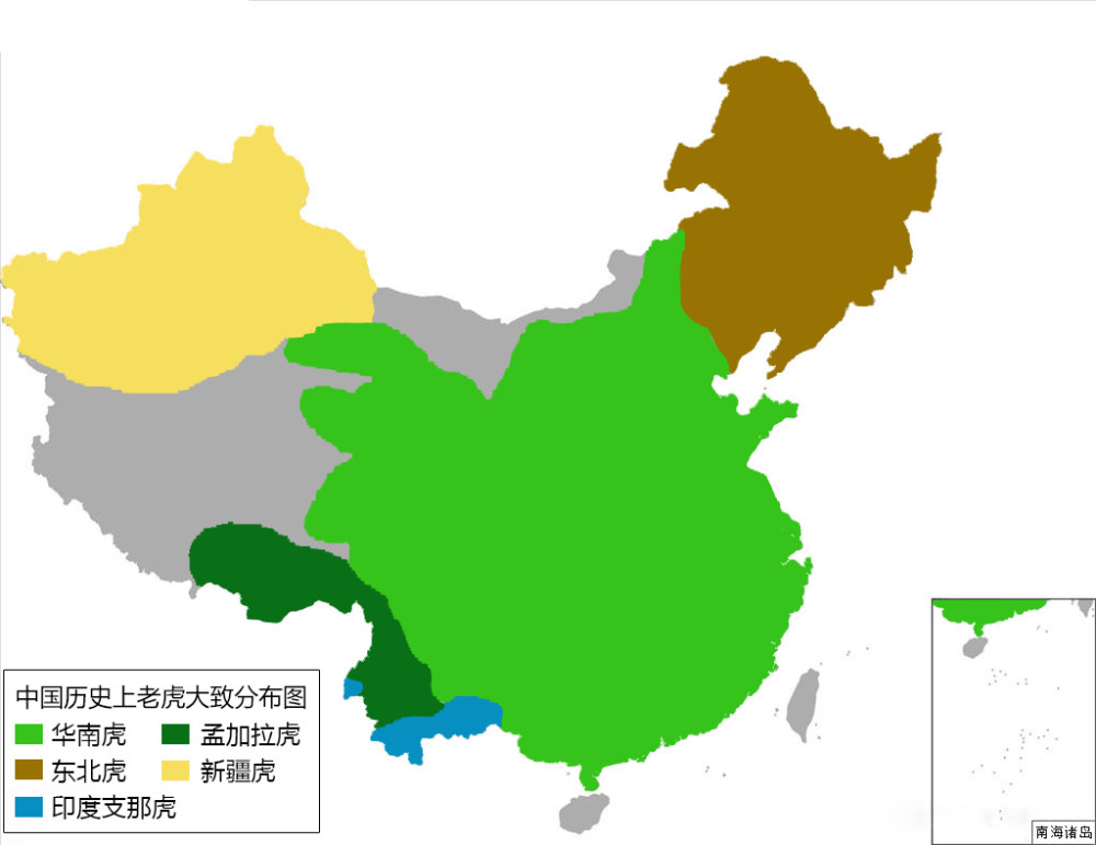 地区里; 东北虎的主要栖息在东北部; 分布最广,数量最多的是华南虎,其