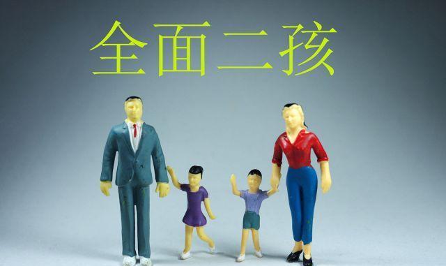 放开生育人口专家_全面放开生育限制