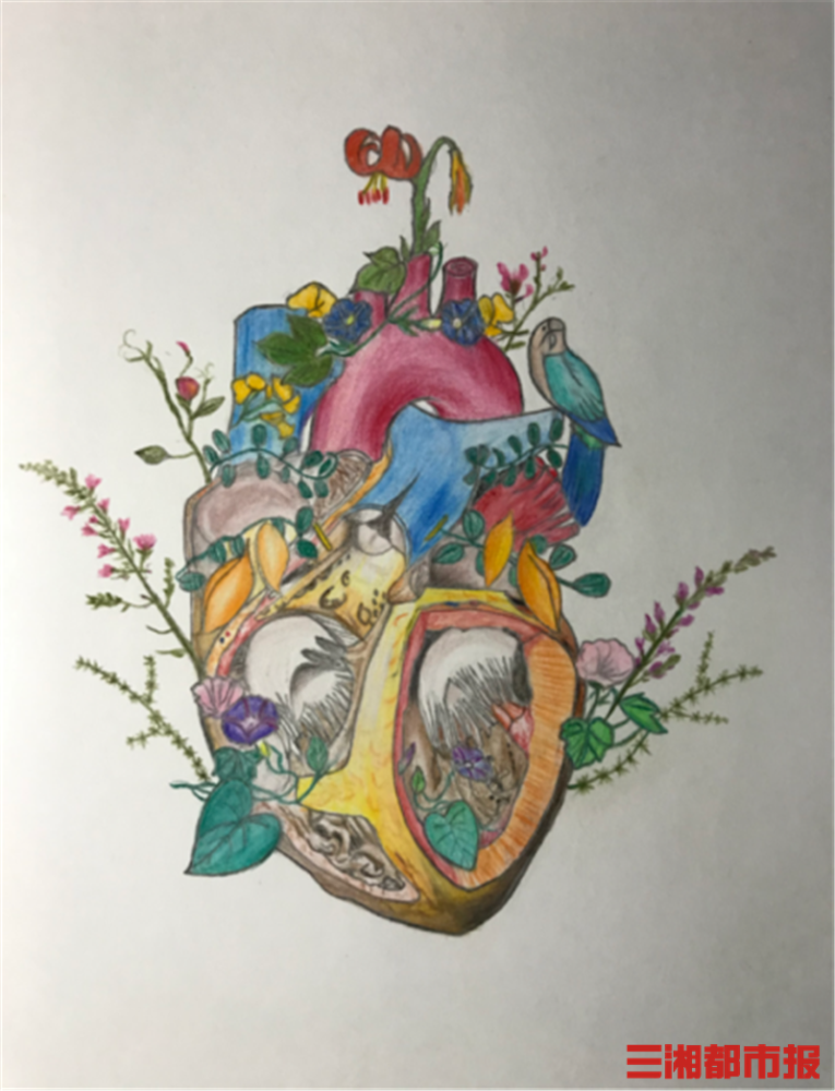 医学生灵魂画手第三届湖南省解剖绘图大赛火热进行中