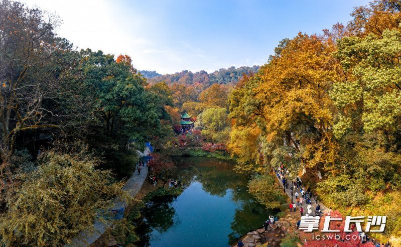 市文明办,市文化旅游广电局,岳麓区委,区政府,岳麓山风景名胜区管理局