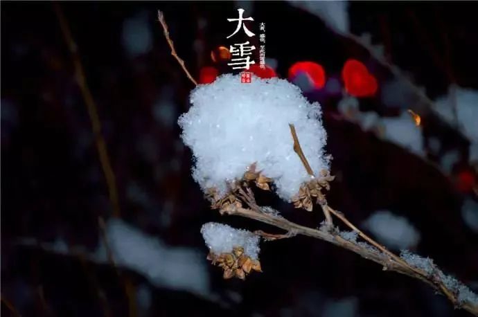 大雪节气祝福语文案大雪节气快乐问候语说说