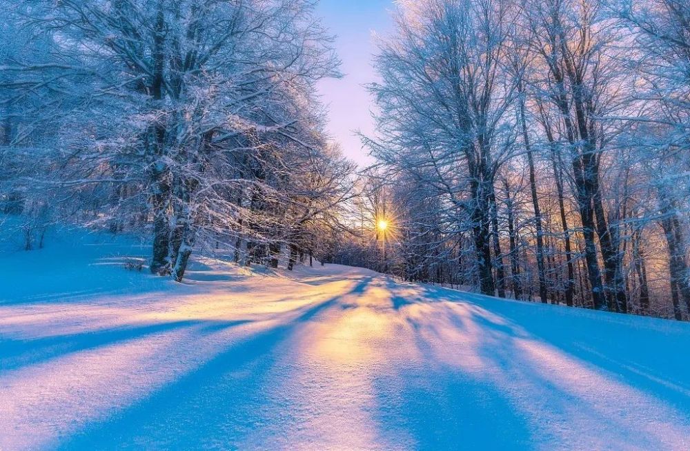 今日大雪|人生四季皆风景,雪落时节又逢君