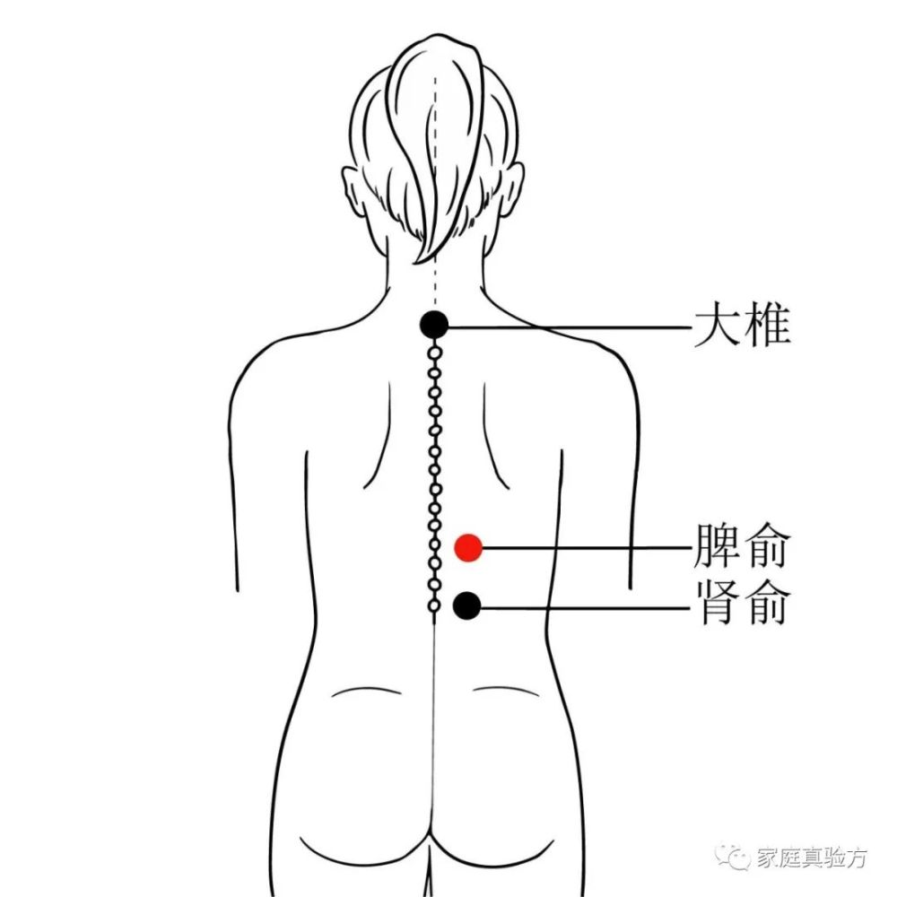 年 十月廿三 操作 将双手放在后背,四指放在肩胛骨下方按揉脾俞穴