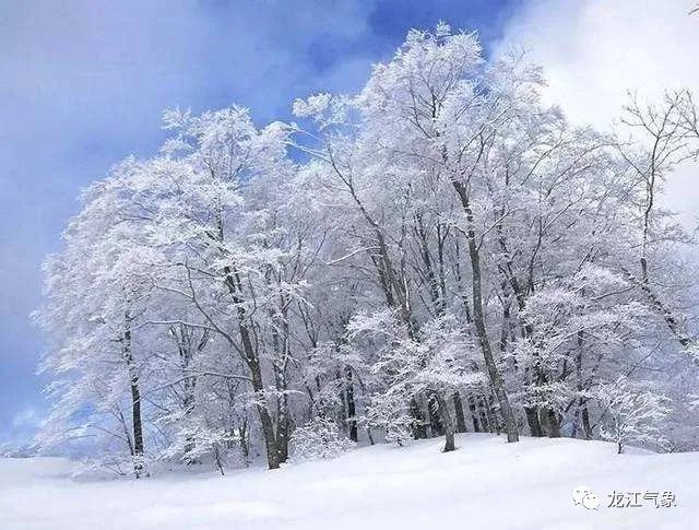 今天大雪本周黑龙江有雪吗