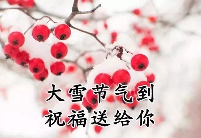 大雪节气问候语简短带祝福图片,大雪天冷了关心的早上