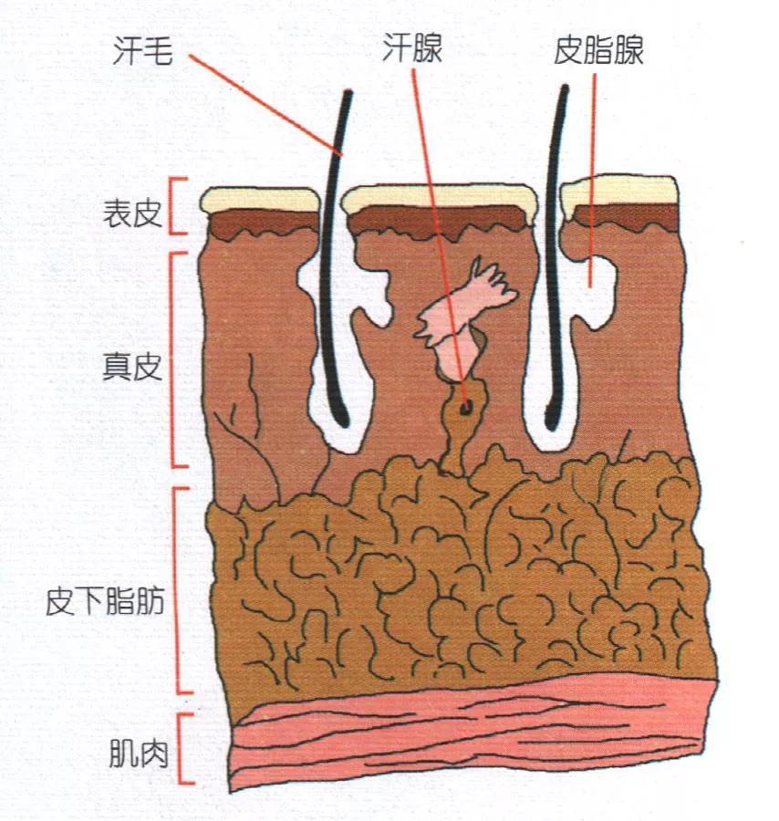 从身体清洁到刮胡须上妆居家养老日常照顾护理全图解