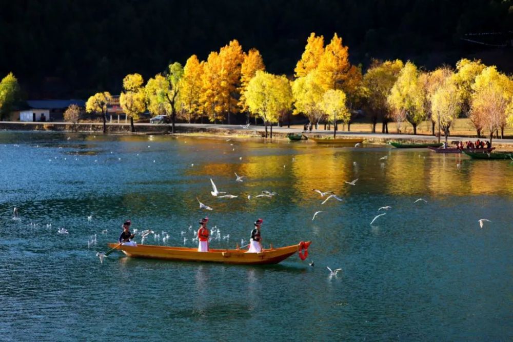 生态湿地|凉山州西昌市邛海,盐源县泸沽湖,木里县鸭咀