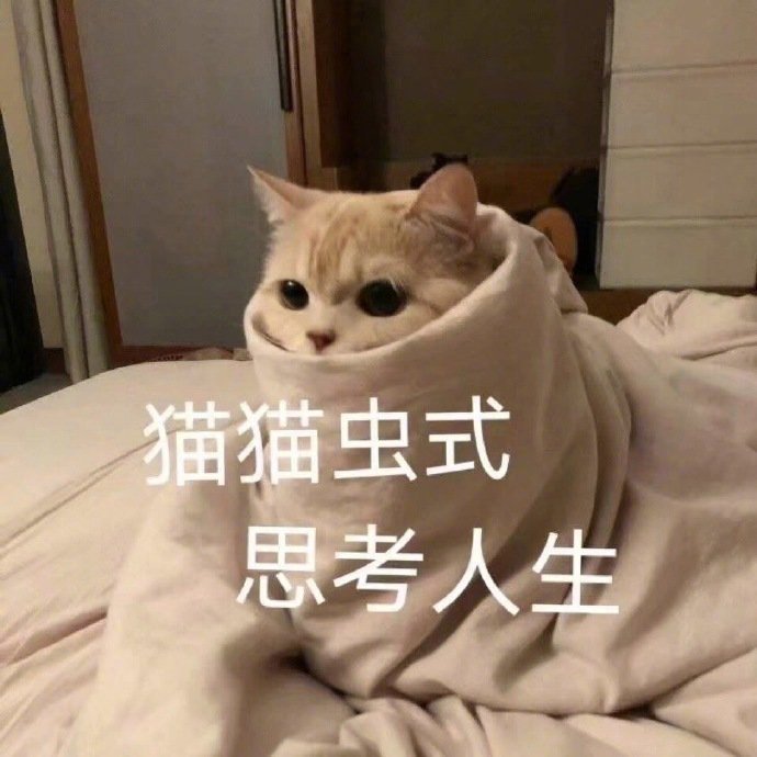 萌宠表情包猫猫虫式思考人生