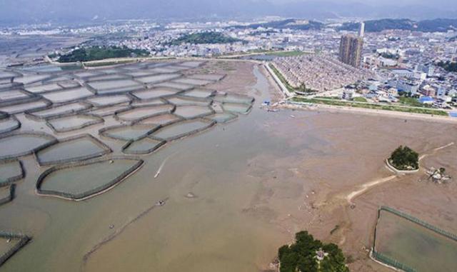 宁海2人口_碧蓝航线宁海