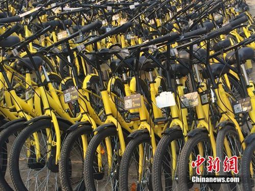 共享單車帶“火”修車師傅背后：有人每天能賺一百多