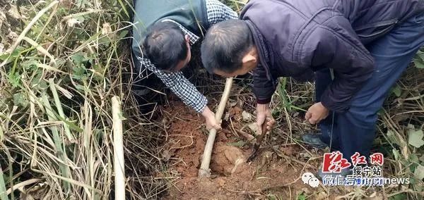 顺义盗采砂石最近_顺义车辆年检最近地址_顺义最近三甲医院