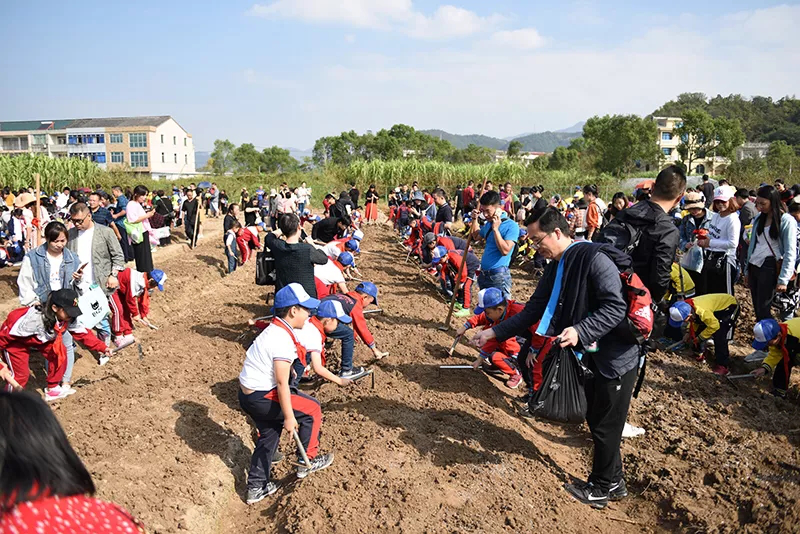 该基地是黄岩区实验小学下属的学生校外劳动实践基地.