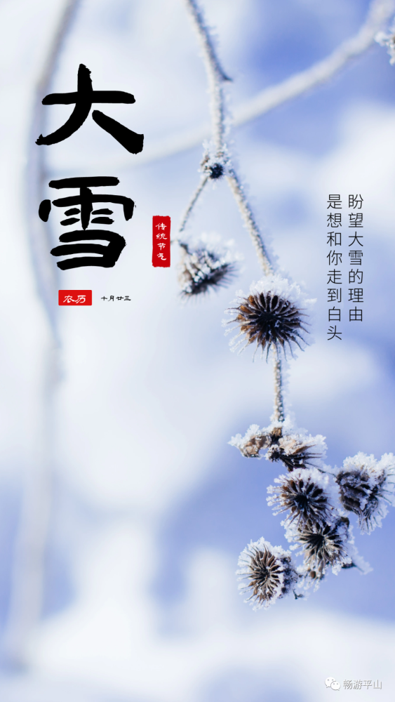 万什么雪飘成语(2)