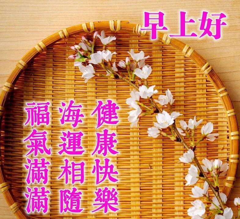 朋友早上好温馨带字图片,每天一句早安祝福问候