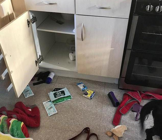 1000