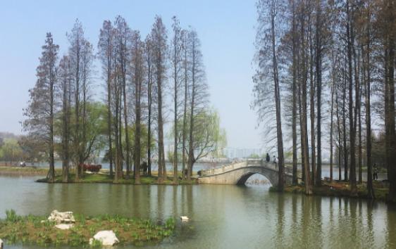 江苏gdp破千万的县_江苏gdp破10万亿图片(2)