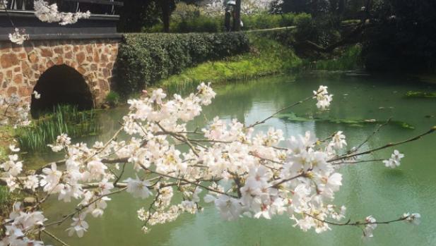 江苏gdp破千万的县_江苏gdp破10万亿图片(2)