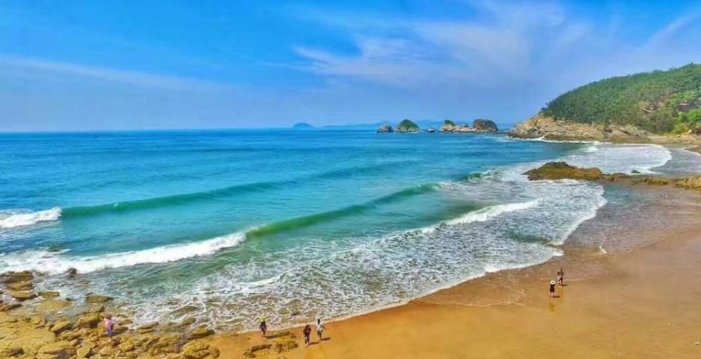 辽宁2019海洋经济总量_辽宁经济寝室照片(3)