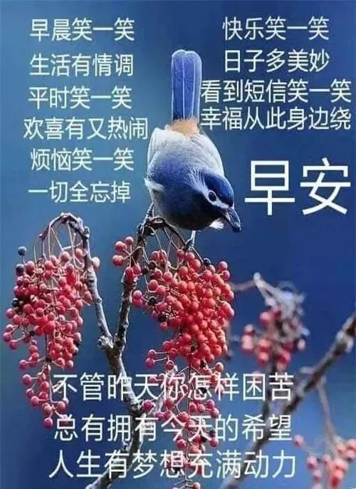 11月9日周二好看的冬天早上好问候祝福图片冬天清晨早安问候祝福图片