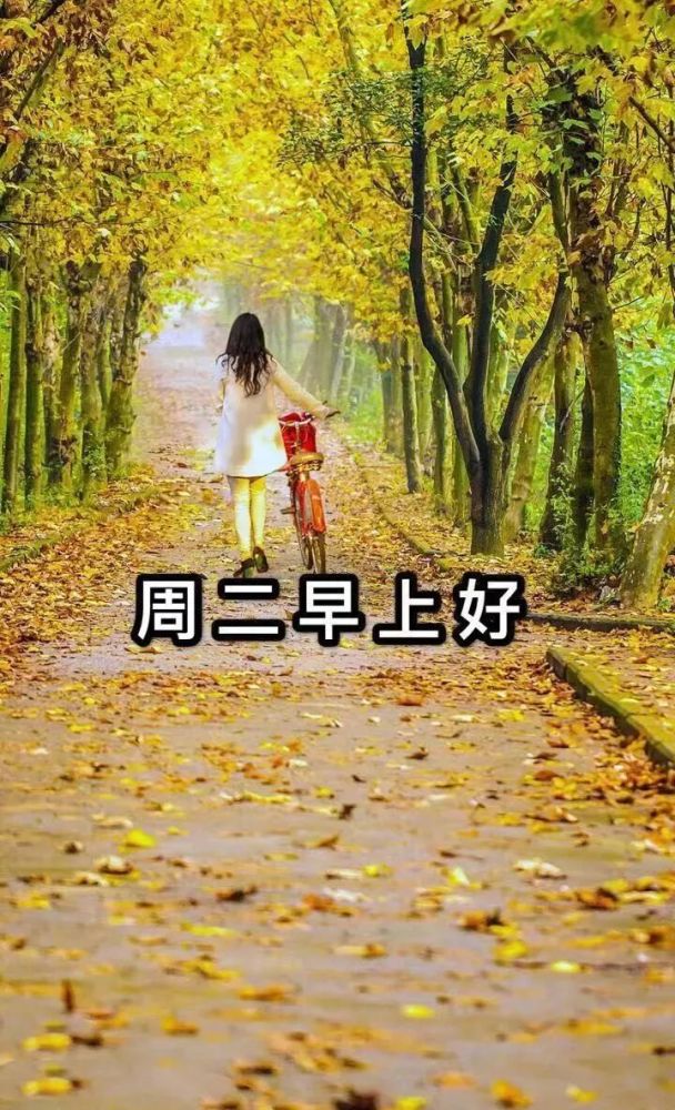 冬天星期二早上好问候语动态表情图片 周二最新早上好祝福语温馨句子