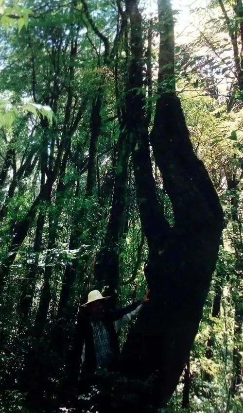 佤缅甸邦经济总量_缅甸佤邦农村图片(3)