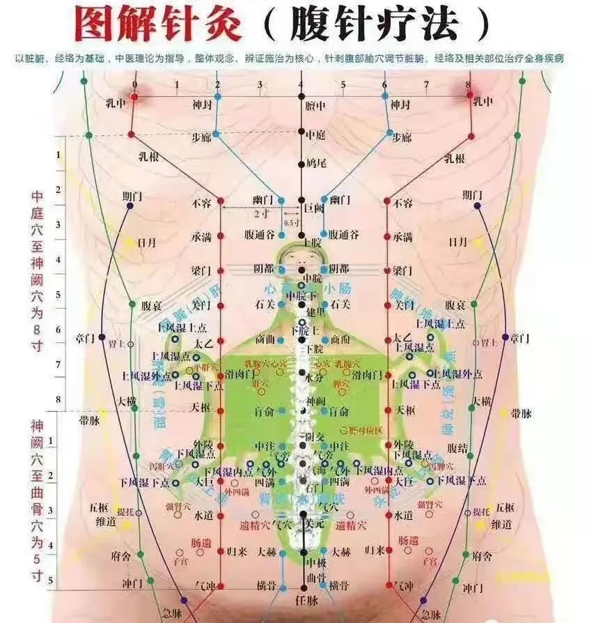2,头部全息图 8,腹部全息图 免责声明:本文来自腾讯新闻客户端自媒体