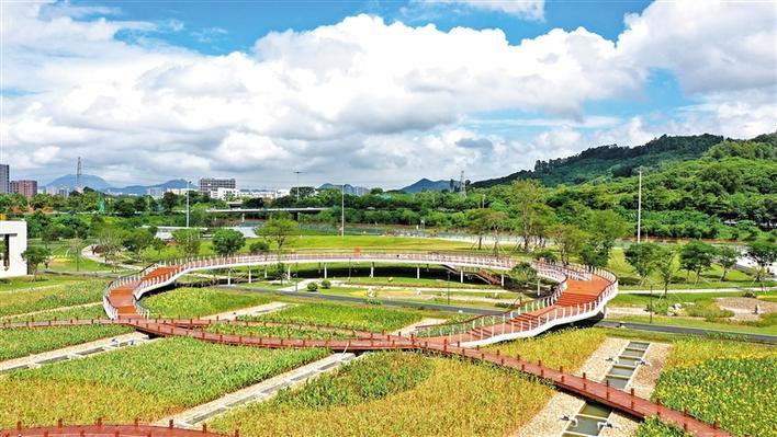 楼村湿地公园月底将完成改造提升