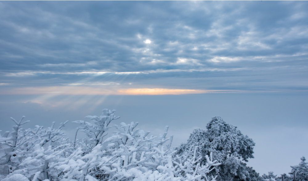 临安雪景盖世无双,看醉了