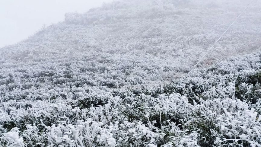 一组来自高山的雪景图不看后悔哦