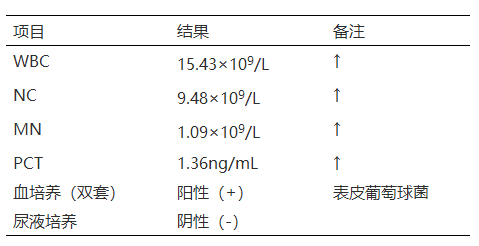 球菌简谱_金黄色葡萄球菌(3)
