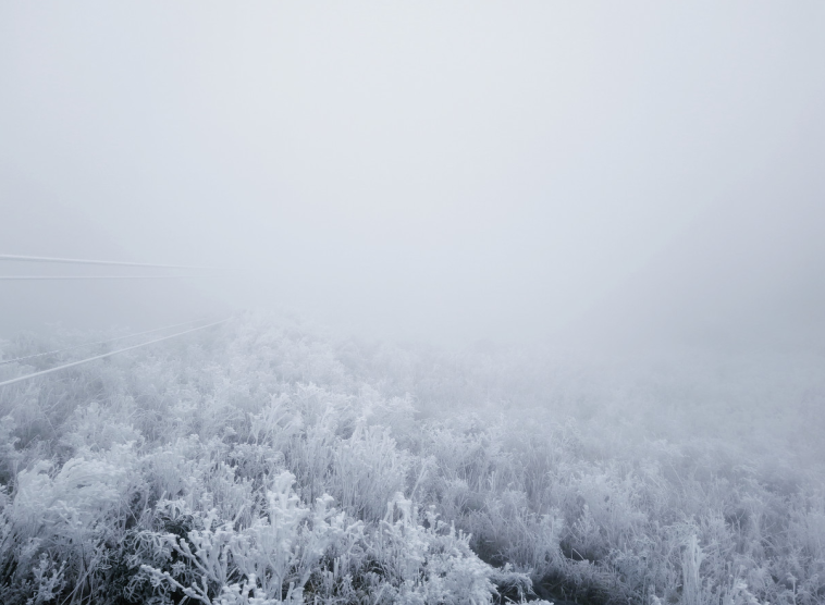 广东下雪了,接下来的天气