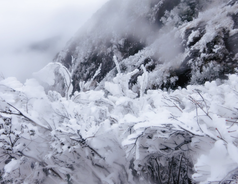 广东下雪了,接下来的天气