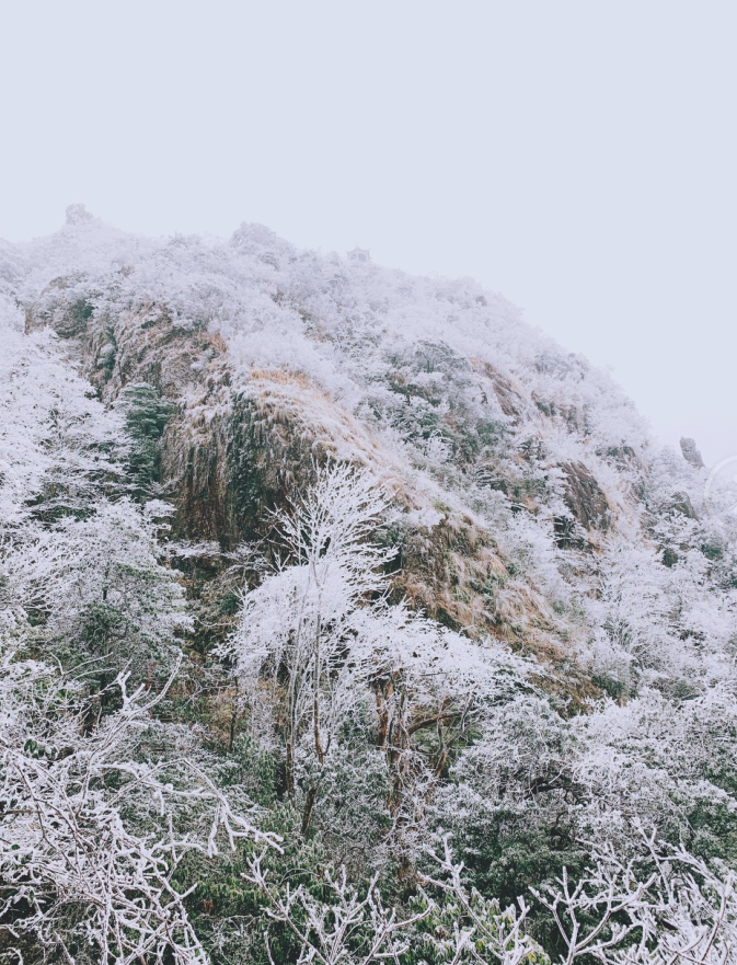 广东下雪了,接下来的天气