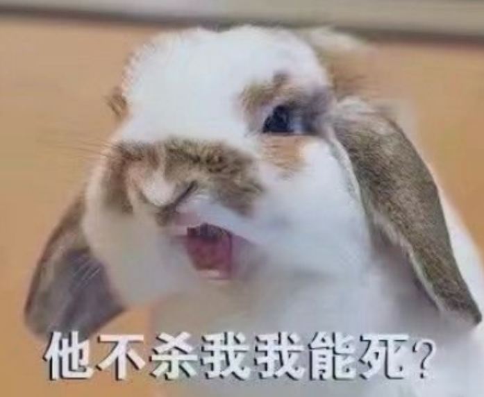 表情包:有比我更温柔的召唤师吗