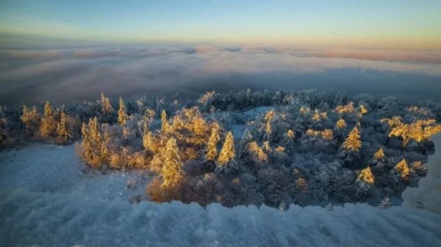 这个"雪域王国"已现绝美雾凇!