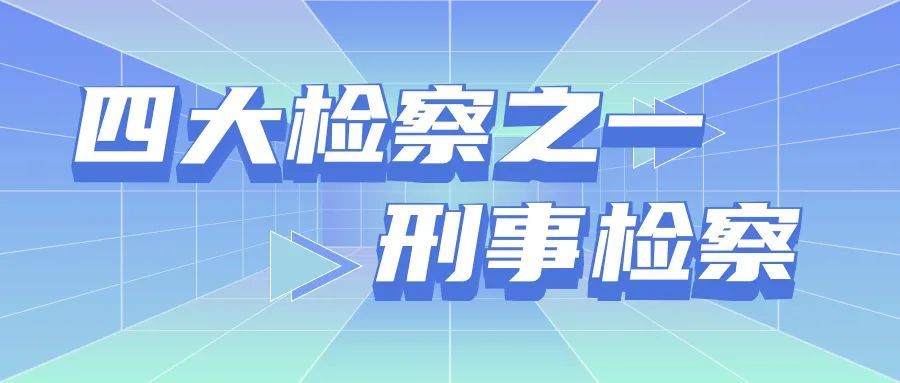 四大检察之一    刑事检察