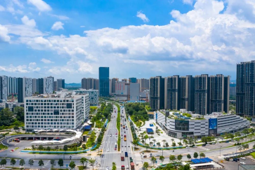 大沙地人口_大沙地(2)